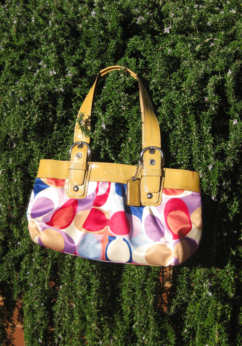 Coach Bag - Multicolour Signature Print