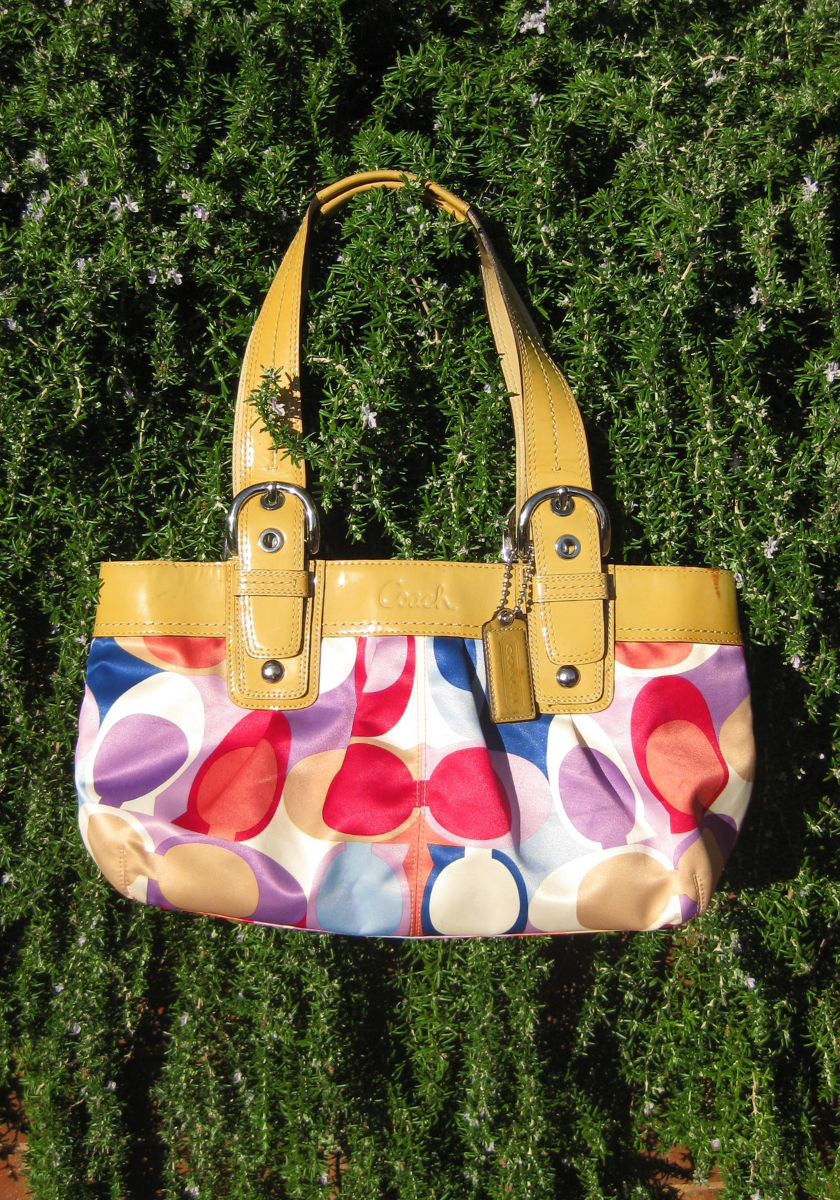 Coach Bag - Multicolour Signature Print