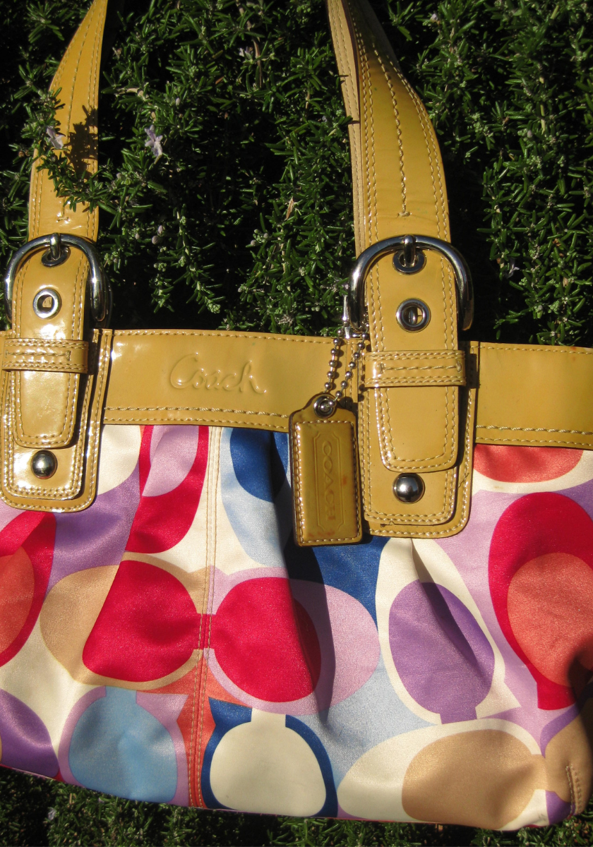 Coach Bag - Multicolour Signature Print