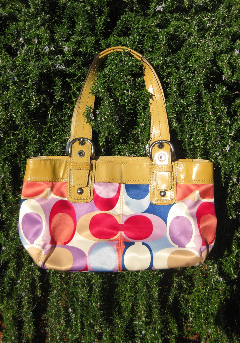 Coach Bag - Multicolour Signature Print